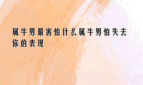 属牛男最害怕什么属牛男怕失去你的表现