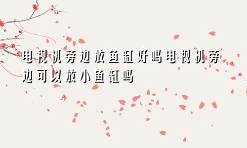 电视机旁边放鱼缸好吗电视机旁边可以放小鱼缸吗