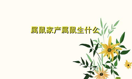 属鼠家产属鼠生什么