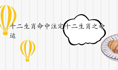 十二生肖命中注定十二生肖之命运