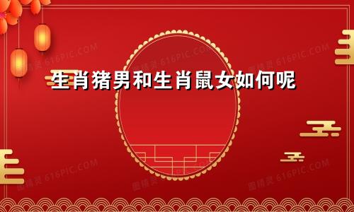 生肖猪男和生肖鼠女如何呢
