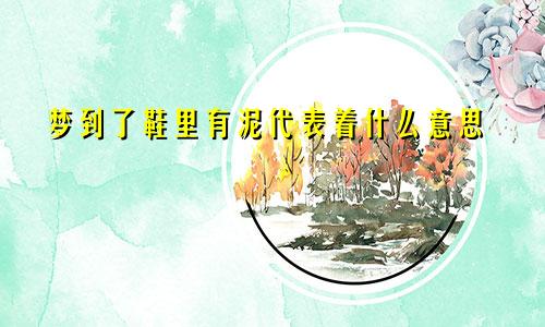 梦到了鞋里有泥代表着什么意思