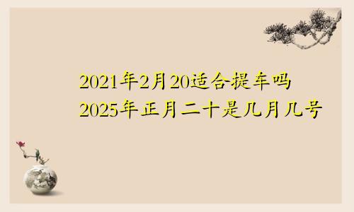 2021年2月20适合提车吗2025年正月二十是几月几号