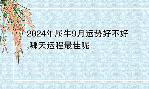 2024年属牛9月运势好不好,哪天运程最佳呢