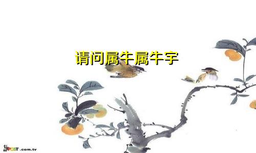 请问属牛属牛宇