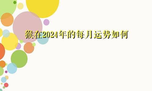 猴在2024年的每月运势如何
