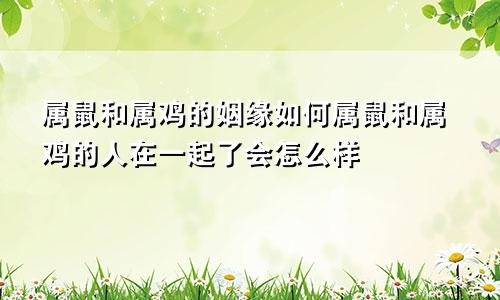 属鼠和属鸡的姻缘如何属鼠和属鸡的人在一起了会怎么样