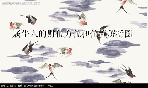 属牛人的财位方位和位置解析图