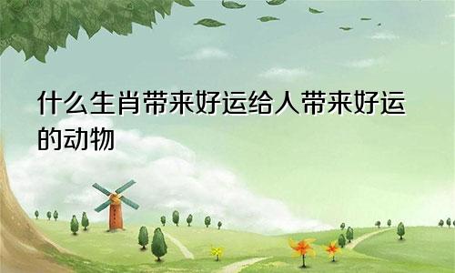 什么生肖带来好运给人带来好运的动物