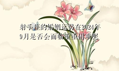 射手座的婚姻运势在2024年9月是否会面临重重困难呢