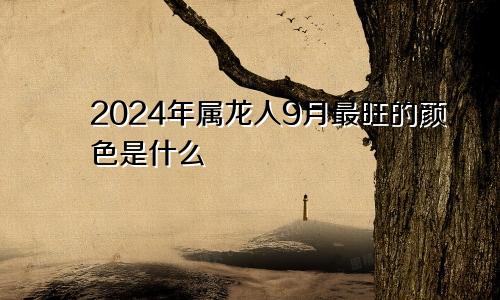 2024年属龙人9月最旺的颜色是什么