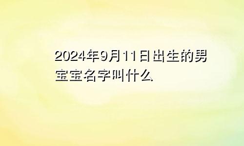 2024年9月11日出生的男宝宝名字叫什么