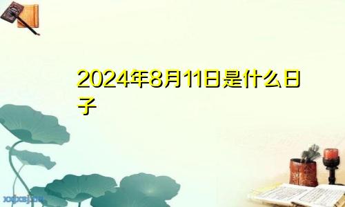 2024年8月11日是什么日子
