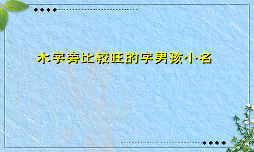 木字旁比较旺的字男孩小名
