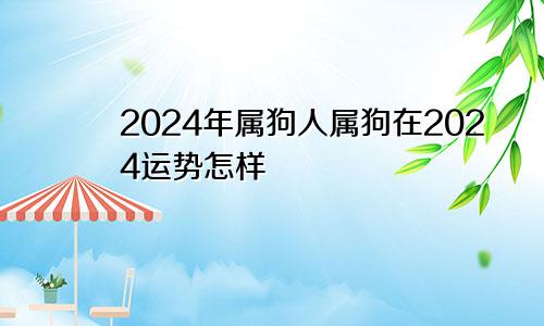 2024年属狗人属狗在2024运势怎样
