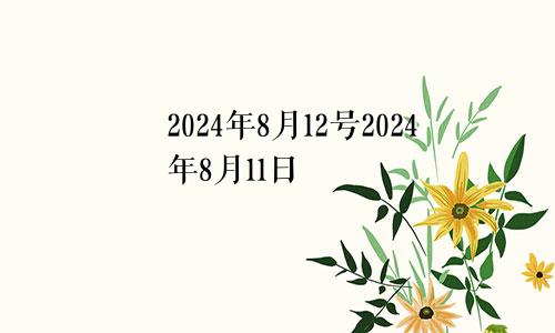 2024年8月12号2024年8月11日