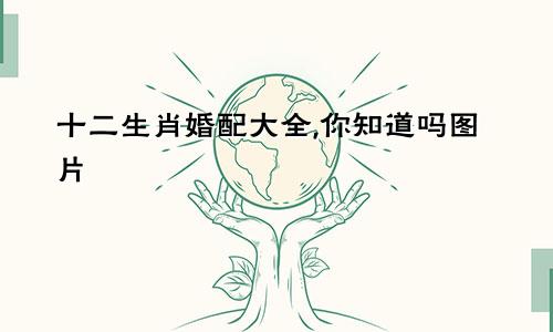 十二生肖婚配大全,你知道吗图片