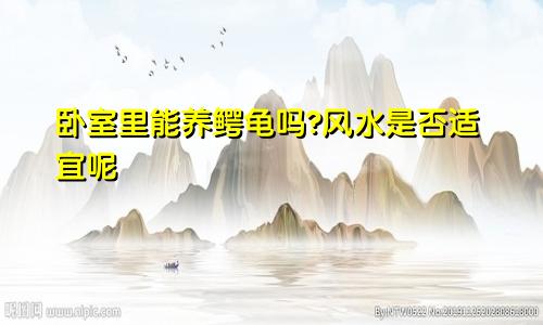 卧室里能养鳄龟吗?风水是否适宜呢