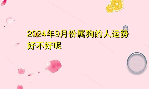 2024年9月份属狗的人运势好不好呢