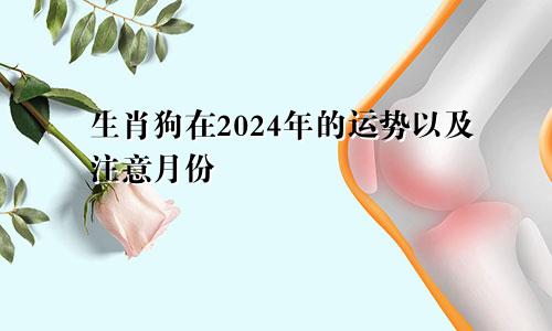 生肖狗在2024年的运势以及注意月份