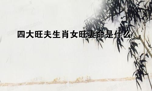 四大旺夫生肖女旺妻命是什么