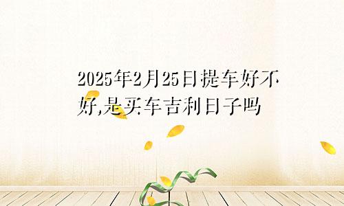 2025年2月25日提车好不好,是买车吉利日子吗