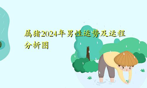 属猪2024年男性运势及运程分析图