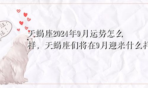 天蝎座2024年9月运势怎么样，天蝎座们将在9月迎来什么样的挑战和机遇