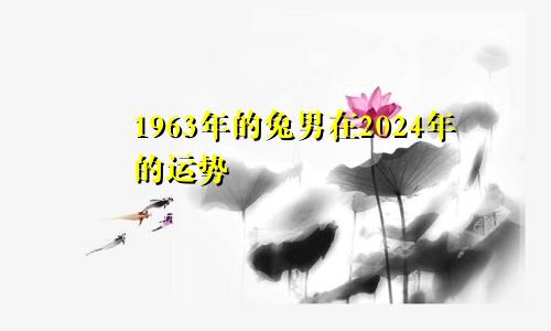 1963年的兔男在2024年的运势