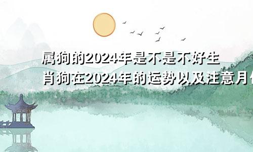 属狗的2024年是不是不好生肖狗在2024年的运势以及注意月份