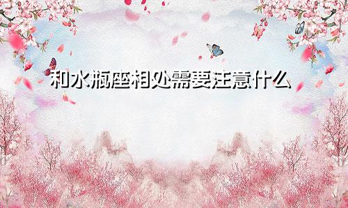 和水瓶座相处需要注意什么