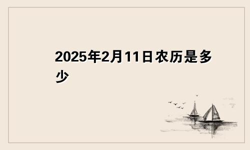 2025年2月11日农历是多少