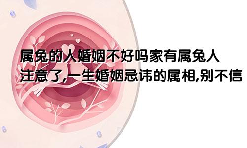 属兔的人婚姻不好吗家有属兔人注意了,一生婚姻忌讳的属相,别不信