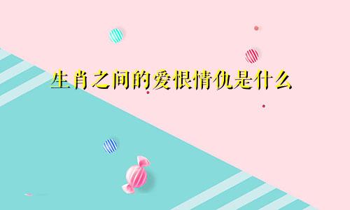 生肖之间的爱恨情仇是什么