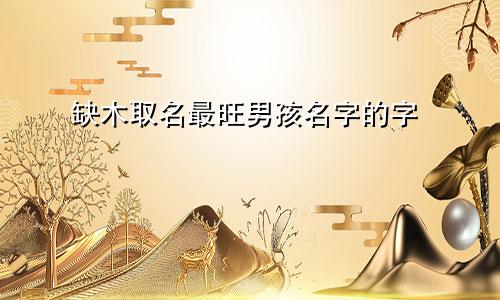 缺木取名最旺男孩名字的字