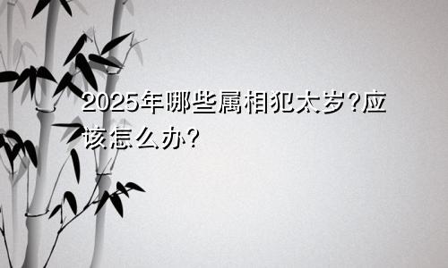 2025年哪些属相犯太岁?应该怎么办?