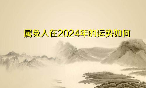 属兔人在2024年的运势如何