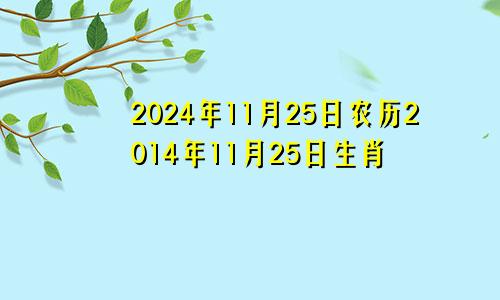 2024年11月25日农历2014年11月25日生肖