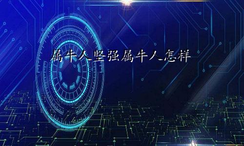 属牛人坚强属牛人怎样