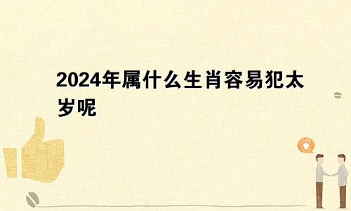 2024年属什么生肖容易犯太岁呢