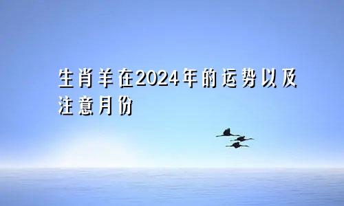 生肖羊在2024年的运势以及注意月份