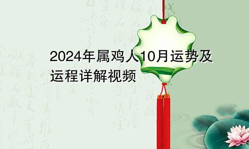 2024年属鸡人10月运势及运程详解视频