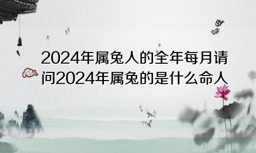 2024年属兔人的全年每月请问2024年属兔的是什么命人