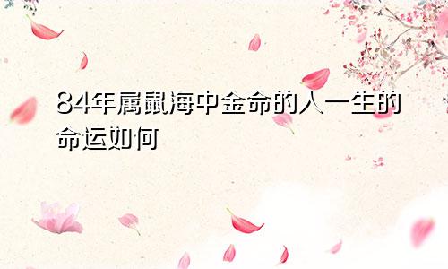 84年属鼠海中金命的人一生的命运如何