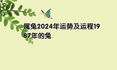 属兔2024年运势及运程1987年的兔