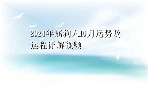 2024年属狗人10月运势及运程详解视频
