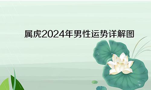 属虎2024年男性运势详解图