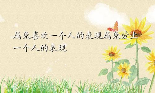 属兔喜欢一个人的表现属兔爱上一个人的表现