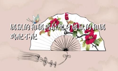 属鼠的和属鸡最配对属鼠的和属鸡配不配