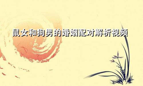 鼠女和狗男的婚姻配对解析视频